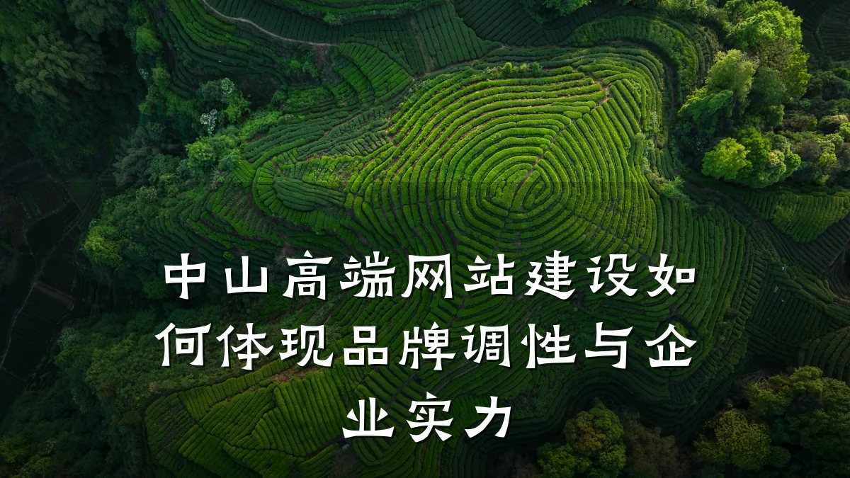 中山高端网站建设如何体现品牌调性与企业实力