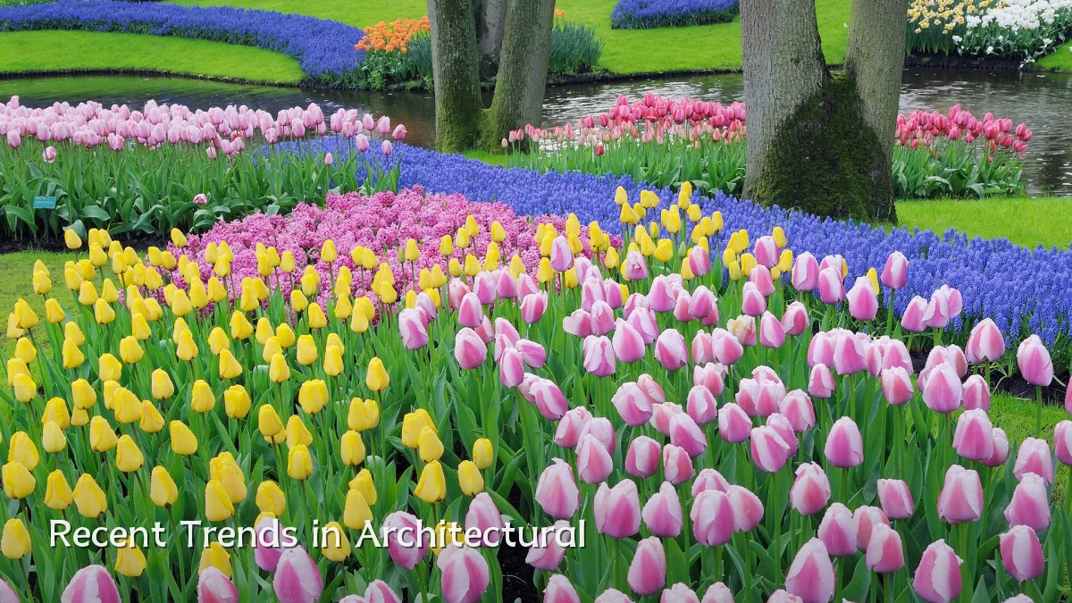 Recent Trends in Architectural