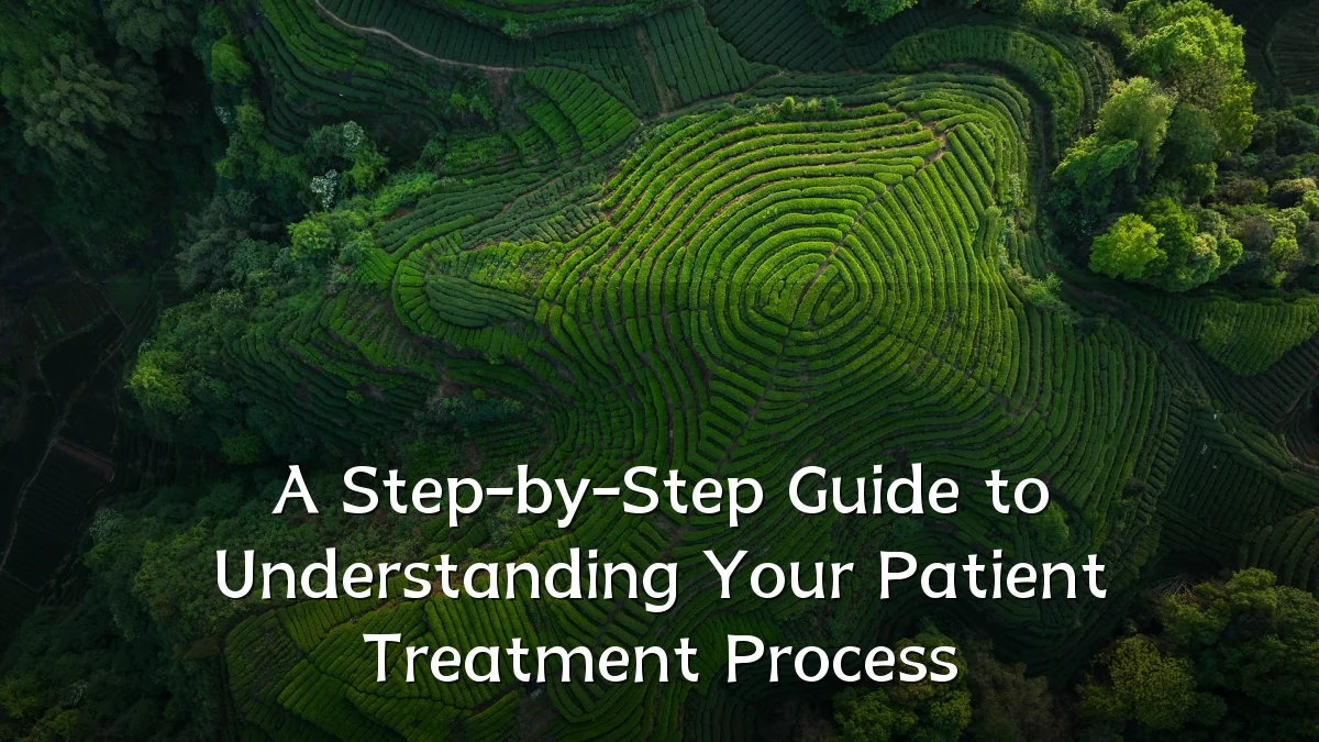 A Step-by-Step Guide to Understanding Your Patient Treatment Process