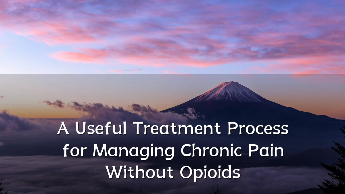 A Useful Treatment Process for Managing Chronic Pain Without Opioids