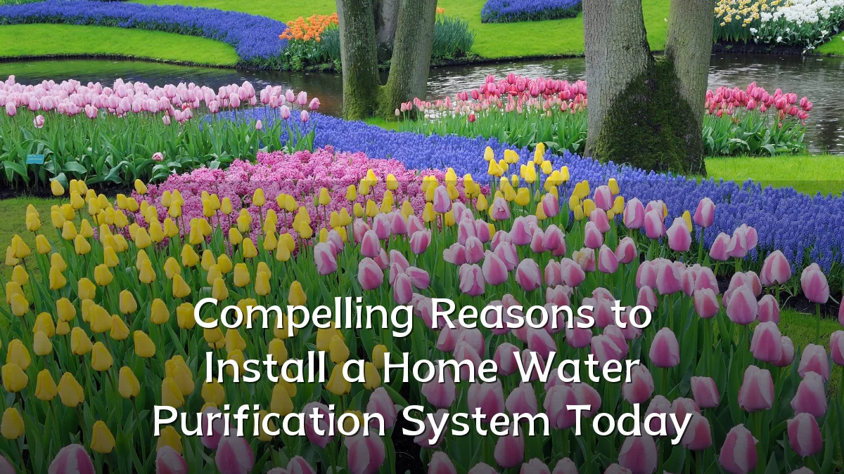 Compelling Reasons to Install a Home Water Purification System Today