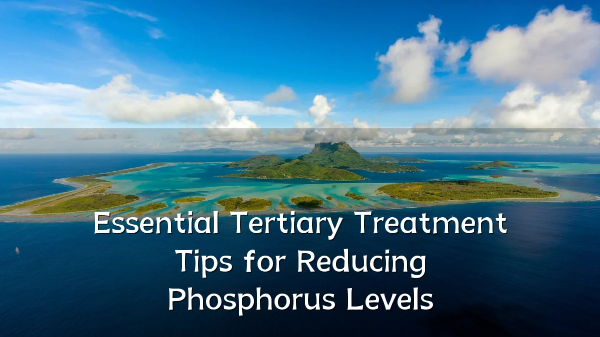 Essential Tertiary Treatment Tips for Reducing Phosphorus Levels