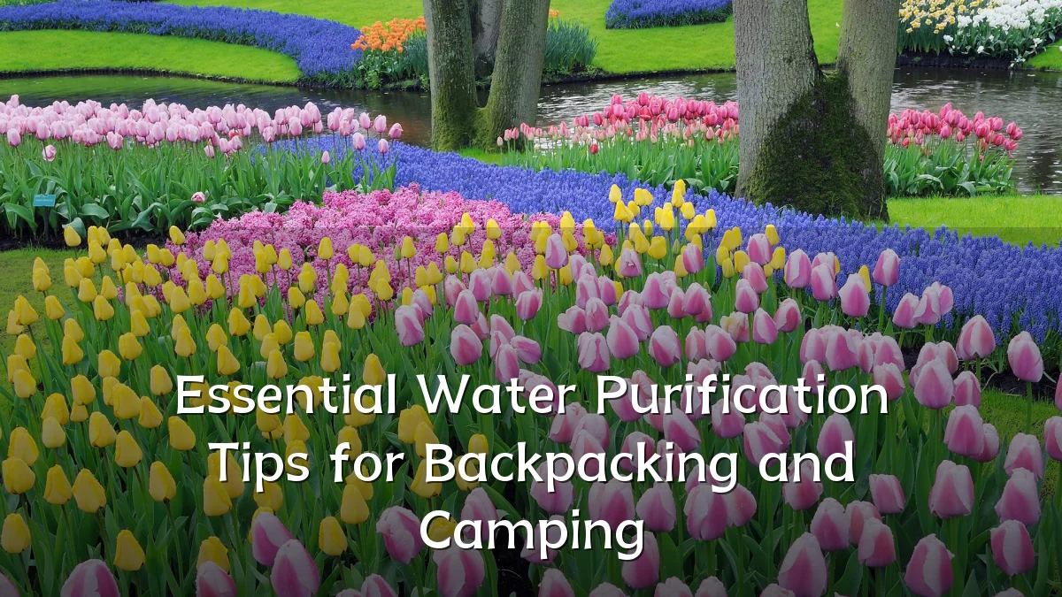 Essential Water Purification Tips for Backpacking and Camping