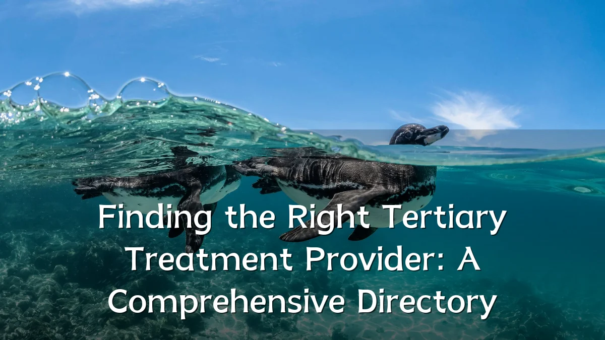 Finding the Right Tertiary Treatment Provider: A Comprehensive Directory