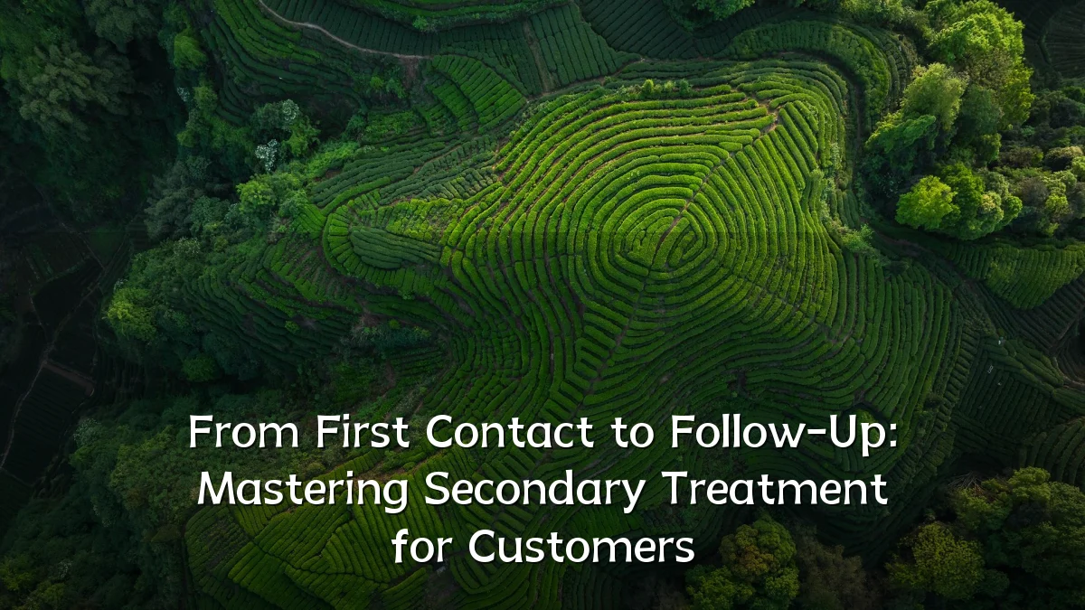From First Contact to Follow-Up: Mastering Secondary Treatment for Customers