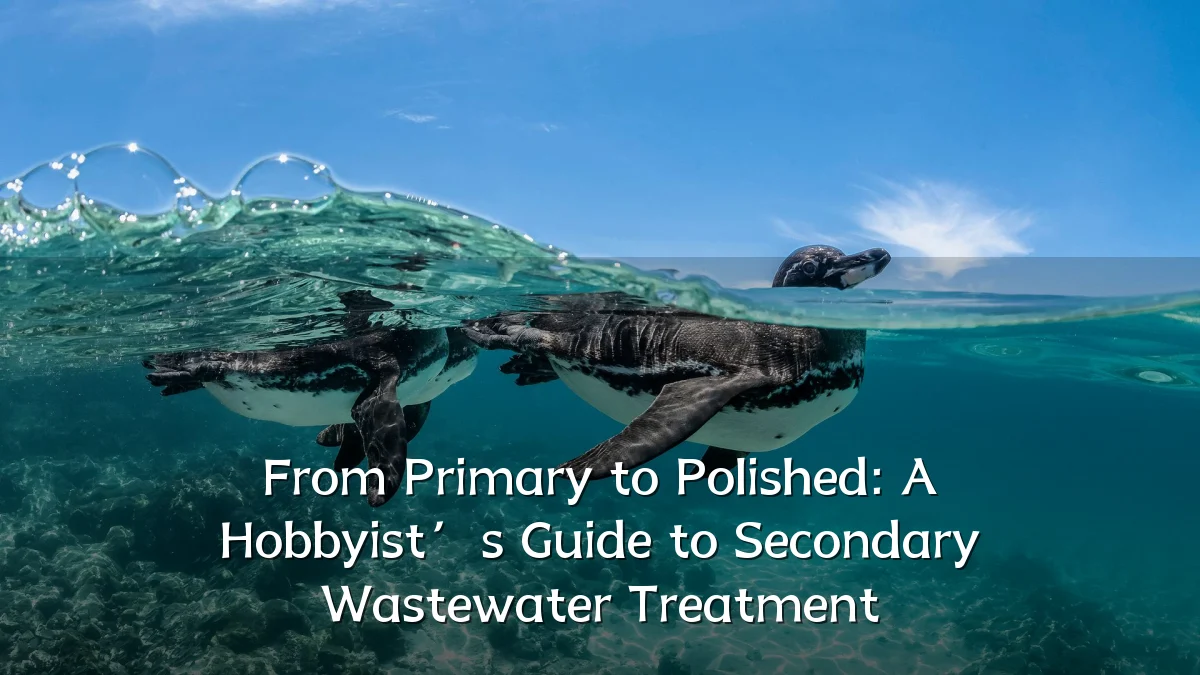 From Primary to Polished: A Hobbyist’s Guide to Secondary Wastewater Treatment