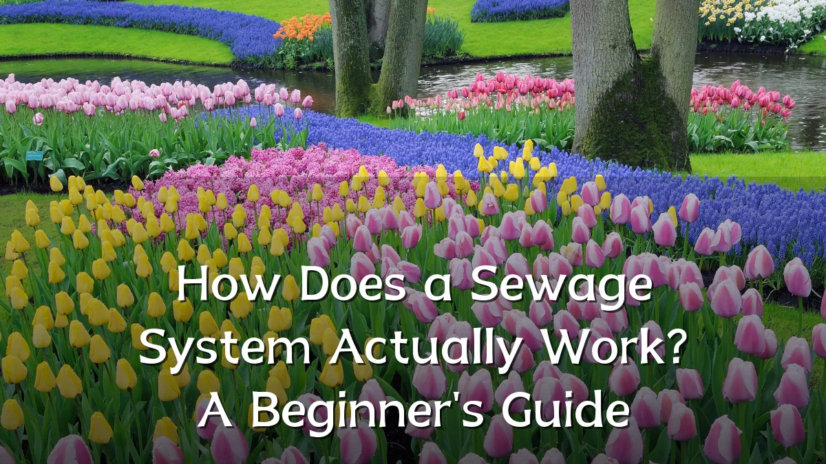 How Does a Sewage System Actually Work? A Beginner's Guide