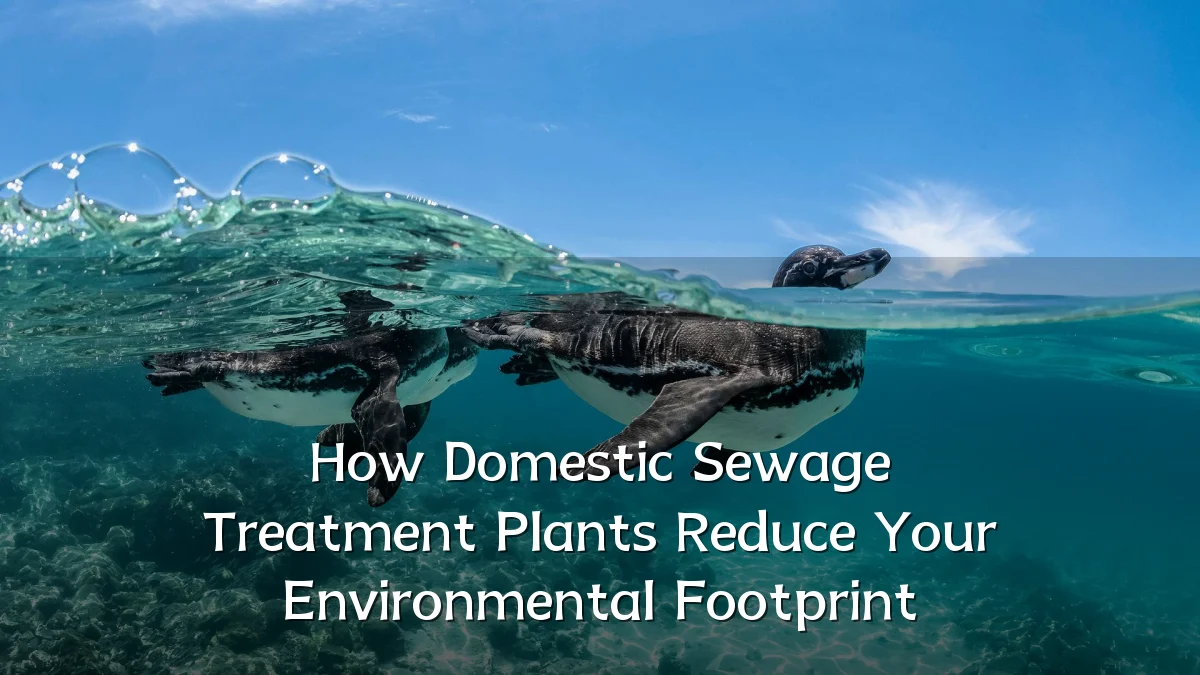 How Domestic Sewage Treatment Plants Reduce Your Environmental Footprint