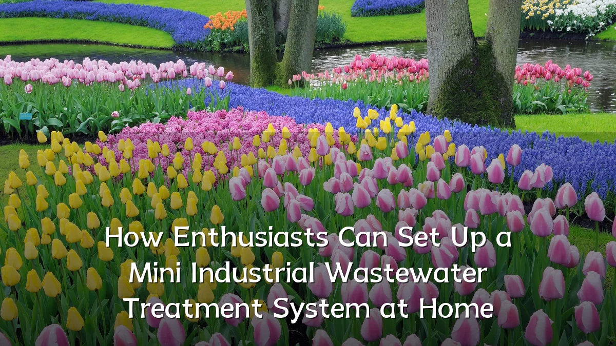 How Enthusiasts Can Set Up a Mini Industrial Wastewater Treatment System at Home