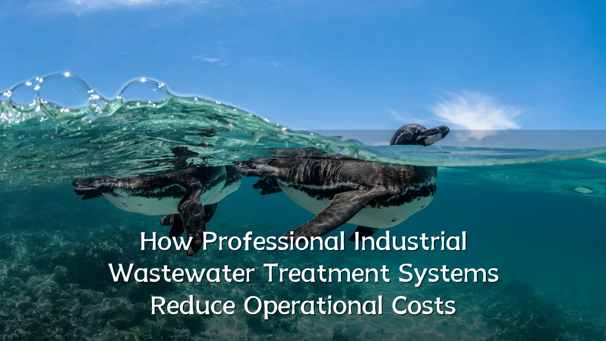 How Professional Industrial Wastewater Treatment Systems Reduce Operational Costs