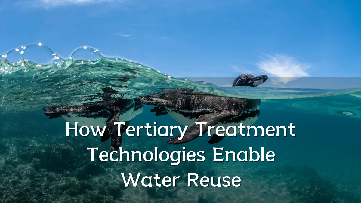 How Tertiary Treatment Technologies Enable Water Reuse