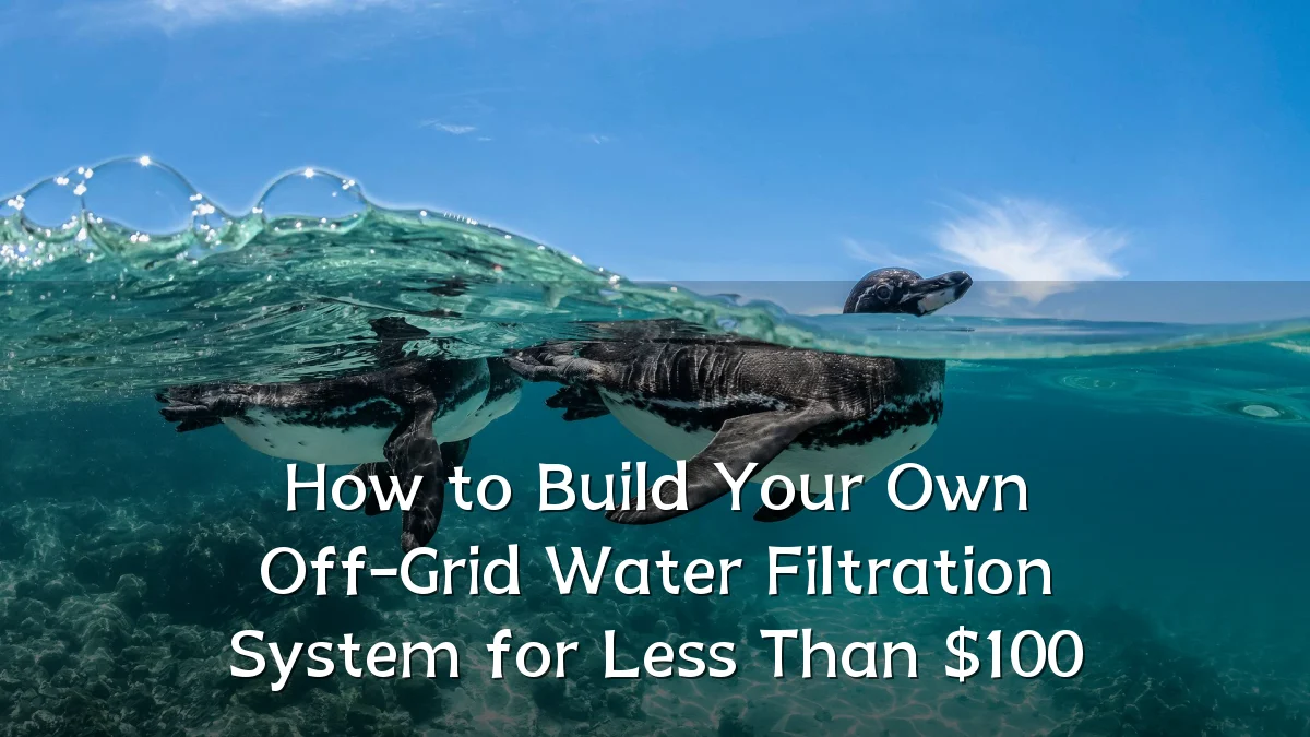 How to Build Your Own Off-Grid Water Filtration System for Less Than $100