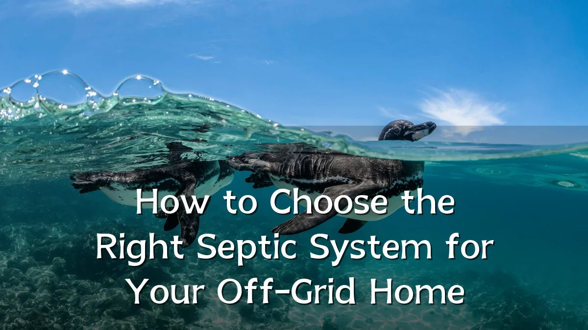 How to Choose the Right Septic System for Your Off-Grid Home
