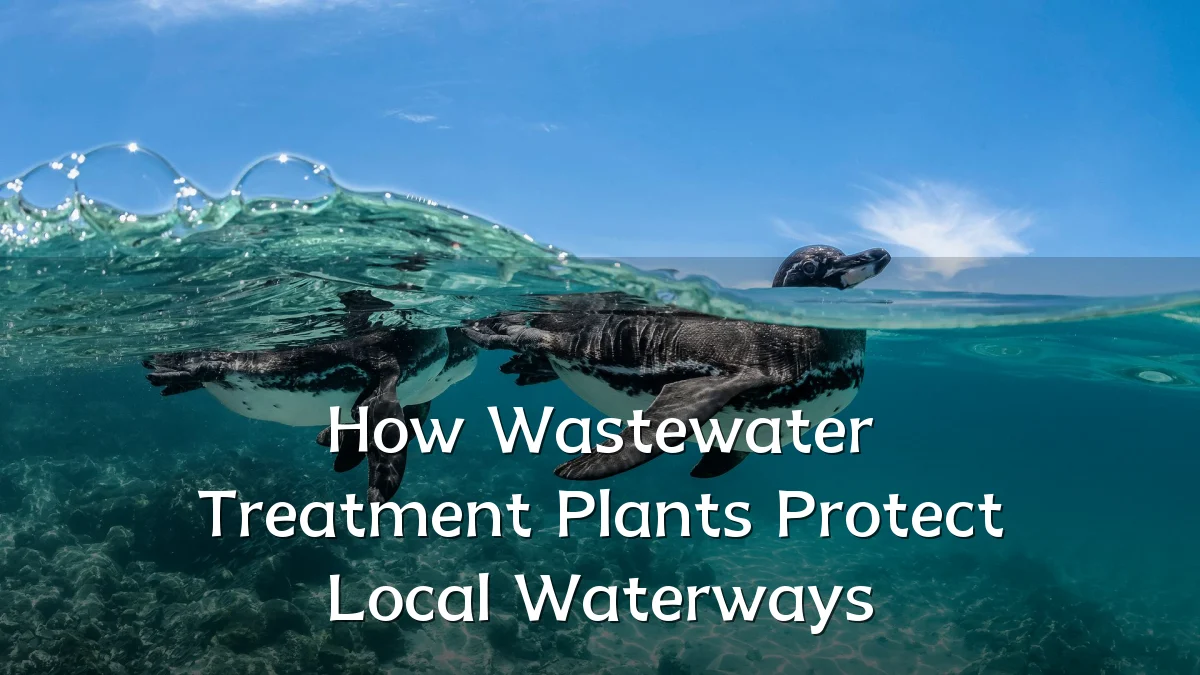 How Wastewater Treatment Plants Protect Local Waterways