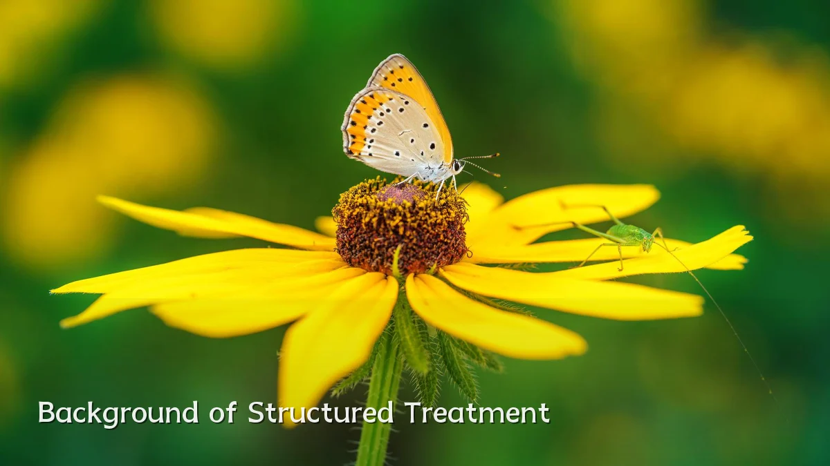 Background of Structured Treatment