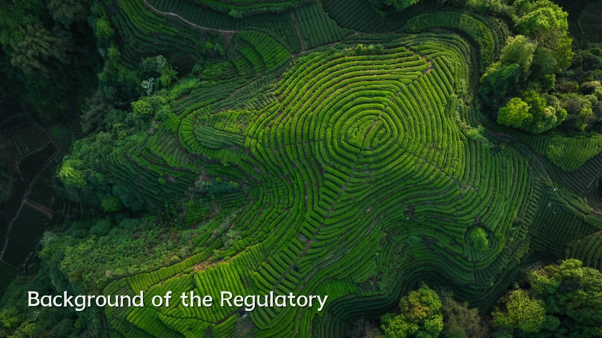 Background of the Regulatory