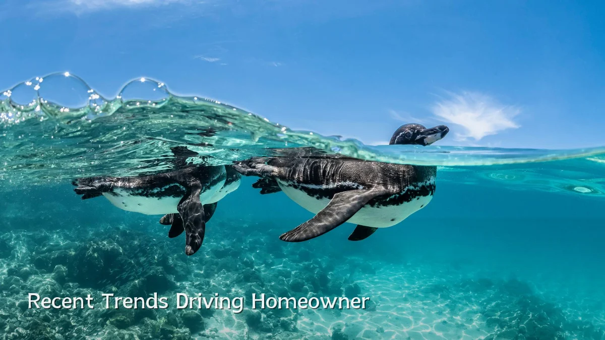 Recent Trends Driving Homeowner