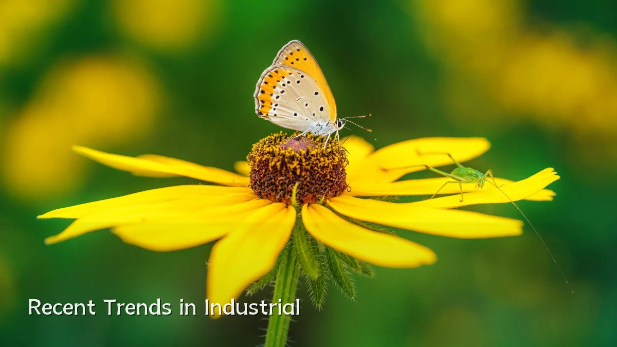 Recent Trends in Industrial