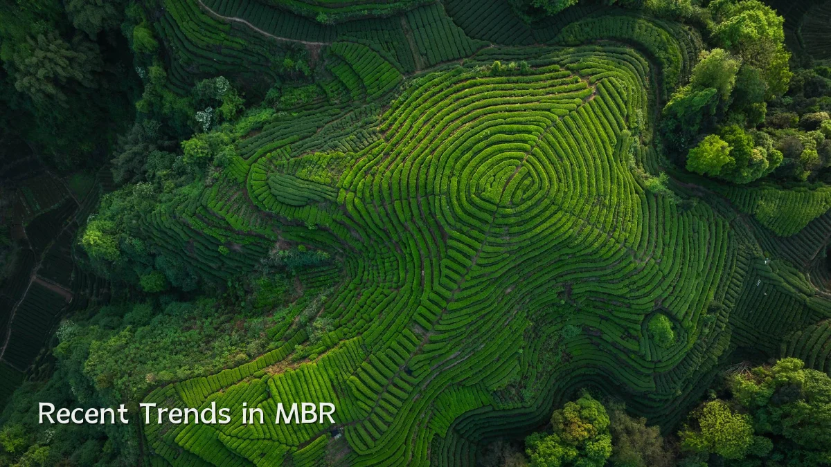 Recent Trends in MBR