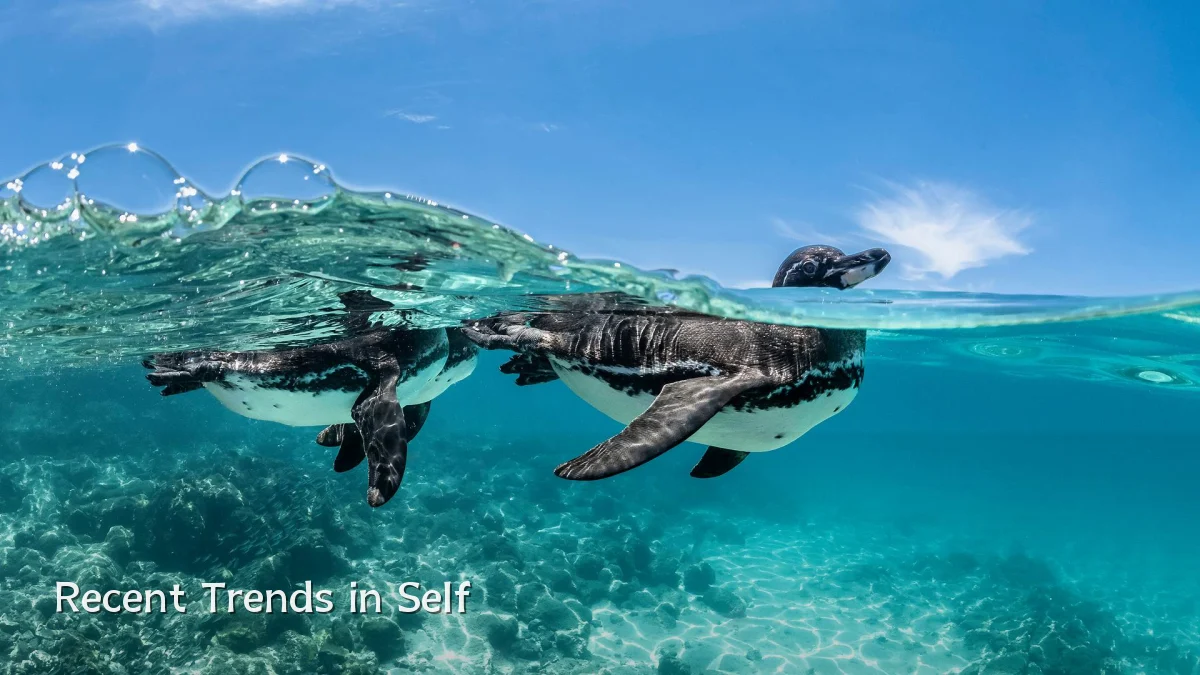 Recent Trends in Self