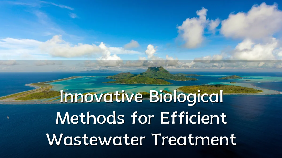 Innovative Biological Methods for Efficient Wastewater Treatment