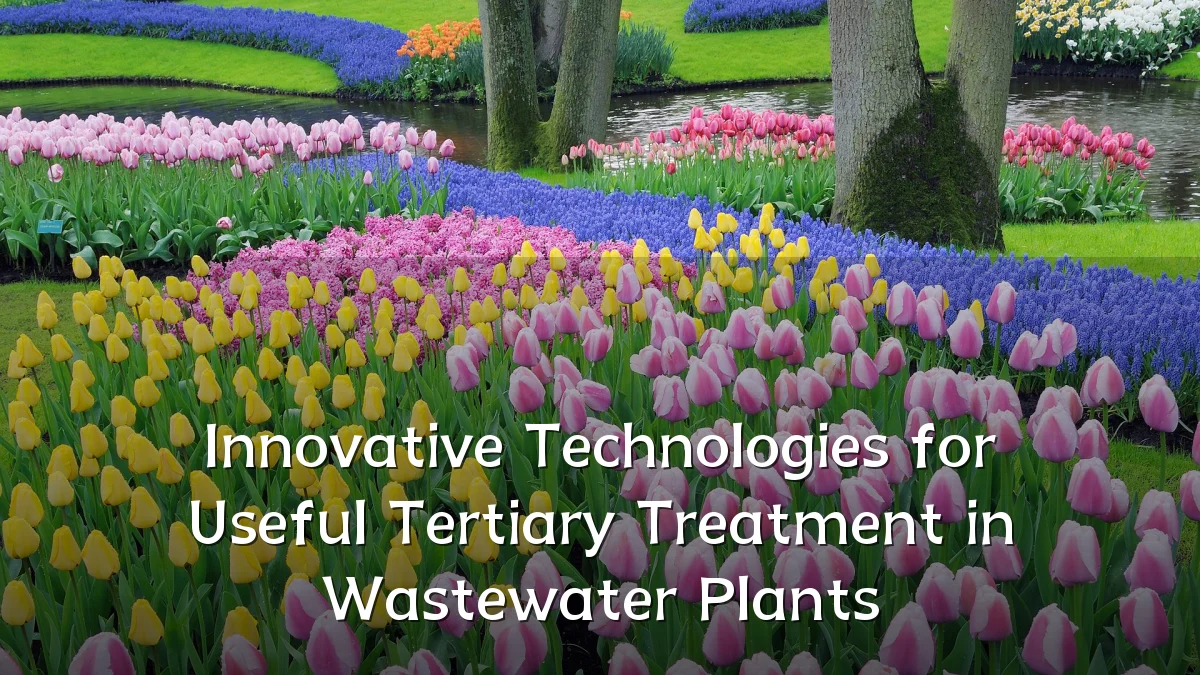 Innovative Technologies for Useful Tertiary Treatment in Wastewater Plants