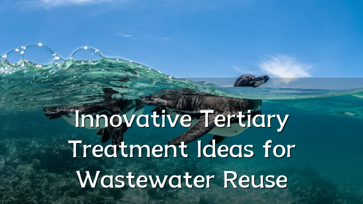 Innovative Tertiary Treatment Ideas for Wastewater Reuse