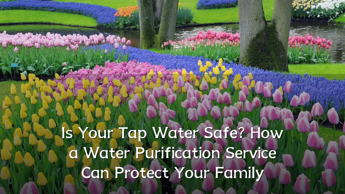 Is Your Tap Water Safe? How a Water Purification Service Can Protect Your Family