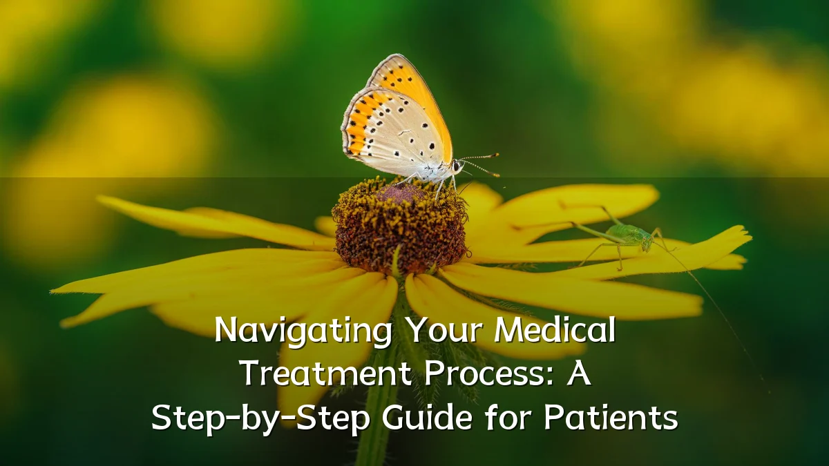 Navigating Your Medical Treatment Process: A Step-by-Step Guide for Patients