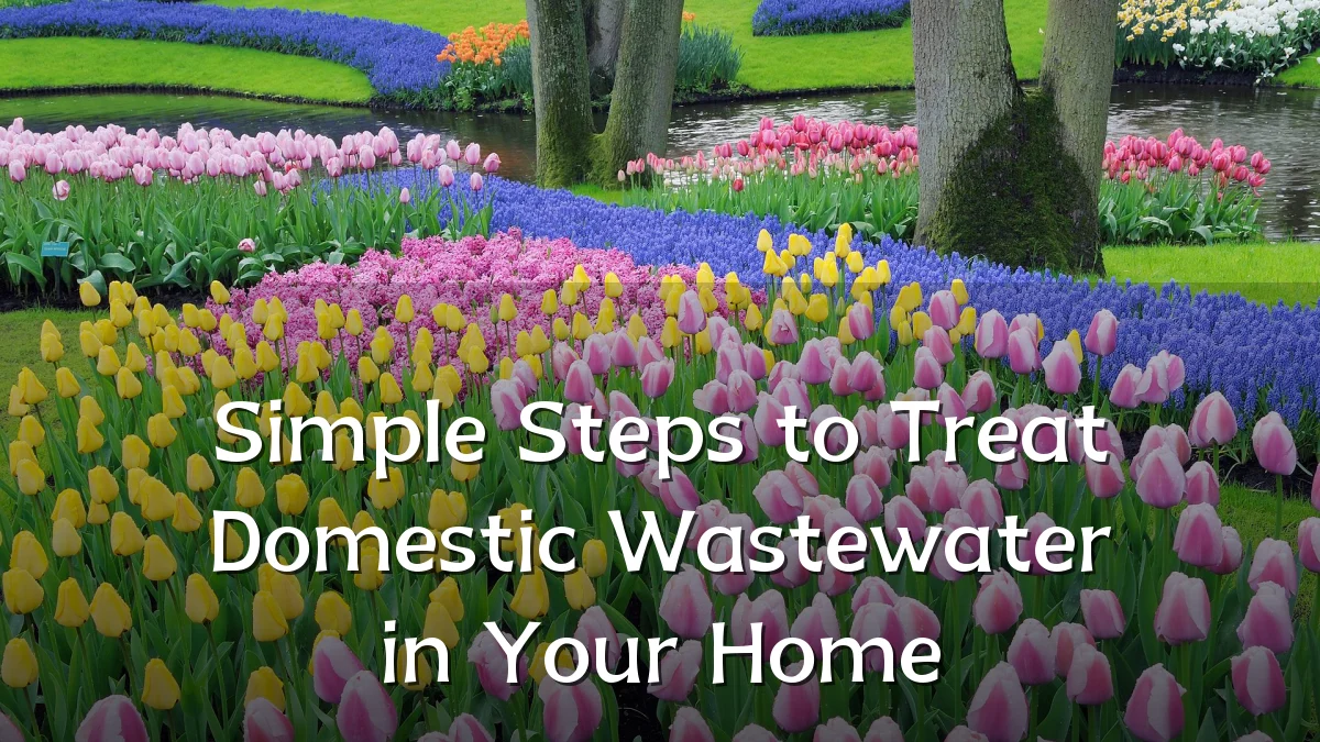 Simple Steps to Treat Domestic Wastewater in Your Home