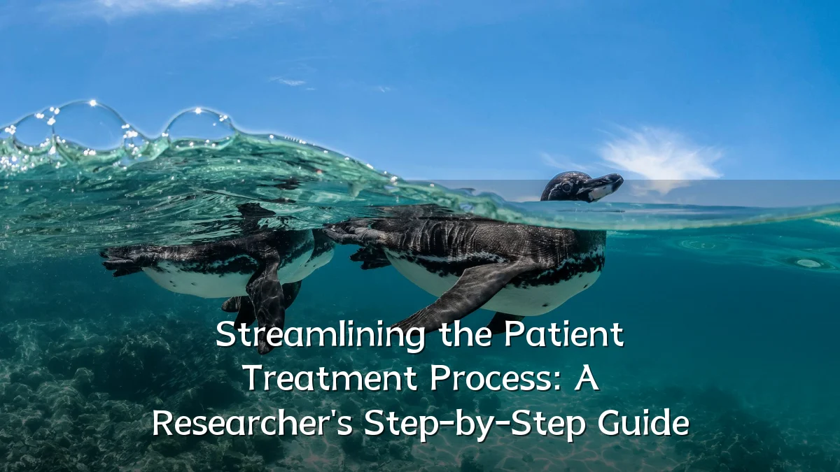 Streamlining the Patient Treatment Process: A Researcher's Step-by-Step Guide