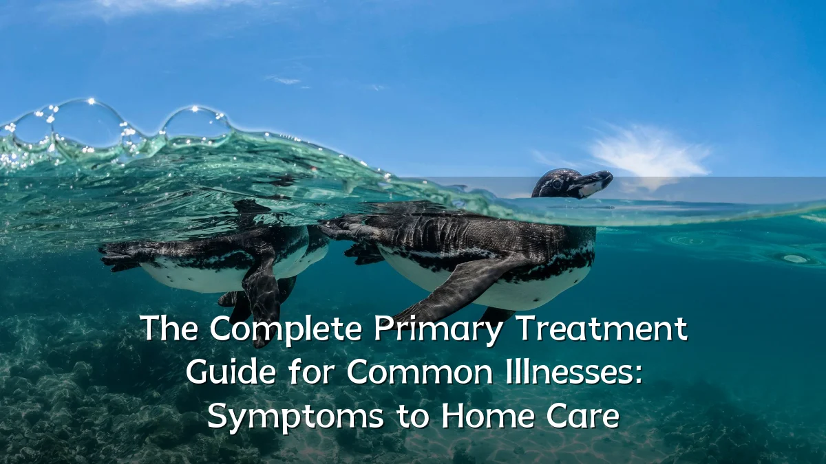 The Complete Primary Treatment Guide for Common Illnesses: Symptoms to Home Care