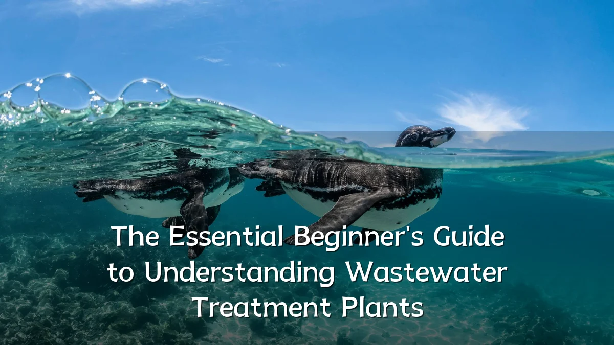 The Essential Beginner's Guide to Understanding Wastewater Treatment Plants