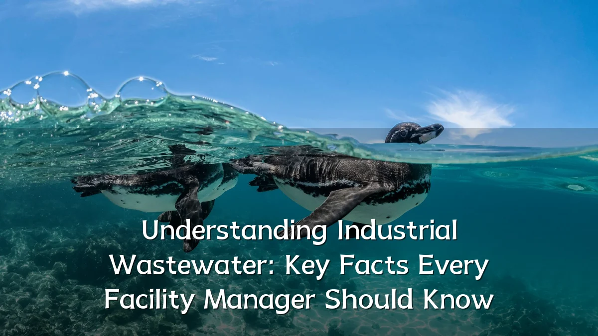 Understanding Industrial Wastewater: Key Facts Every Facility Manager Should Know
