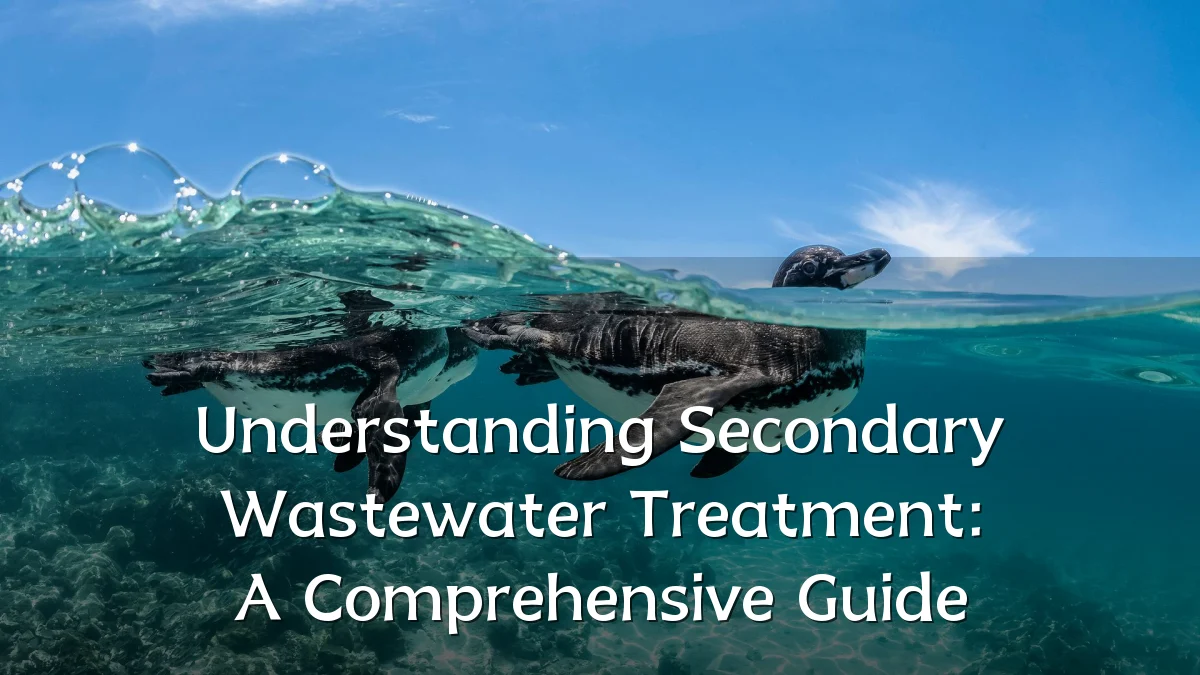 Understanding Secondary Wastewater Treatment: A Comprehensive Guide