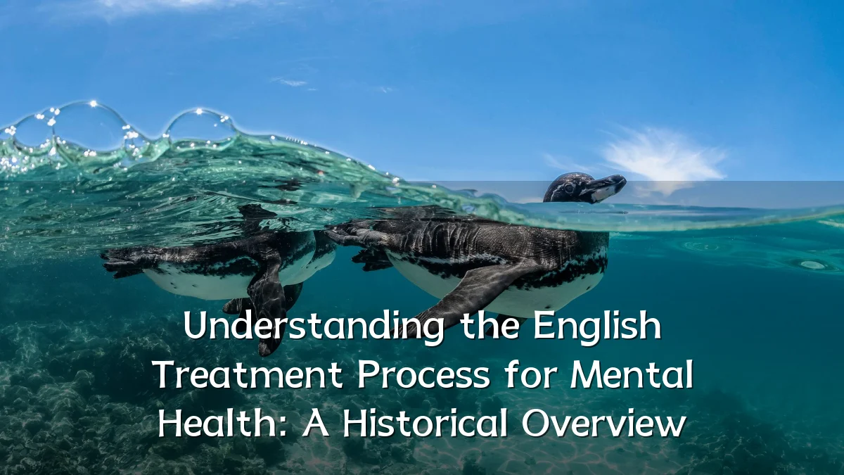Understanding the English Treatment Process for Mental Health: A Historical Overview