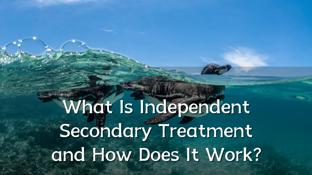 What Is Independent Secondary Treatment and How Does It Work?