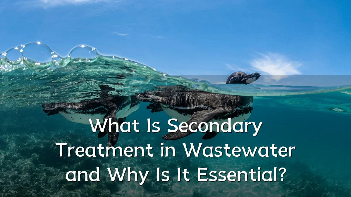 What Is Secondary Treatment in Wastewater and Why Is It Essential?