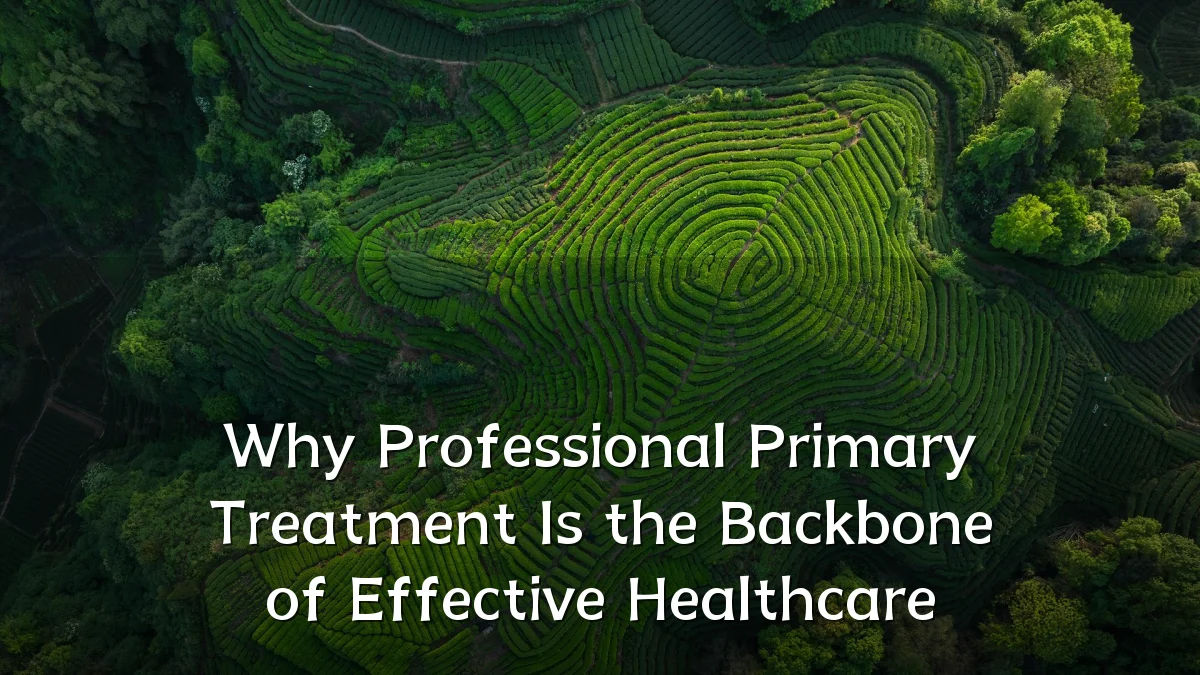 Why Professional Primary Treatment Is the Backbone of Effective Healthcare