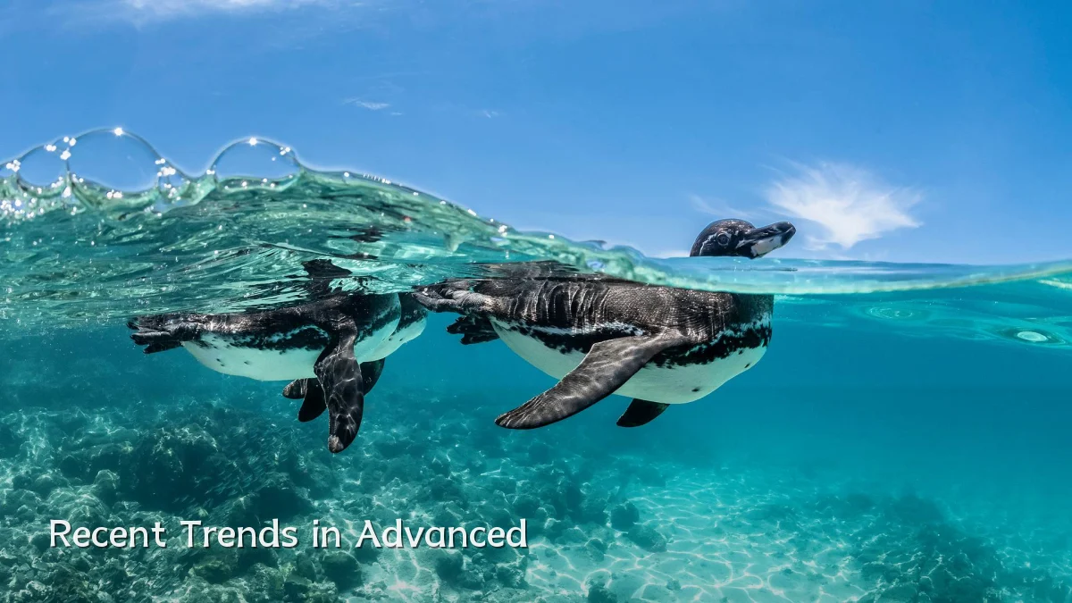 Recent Trends in Advanced