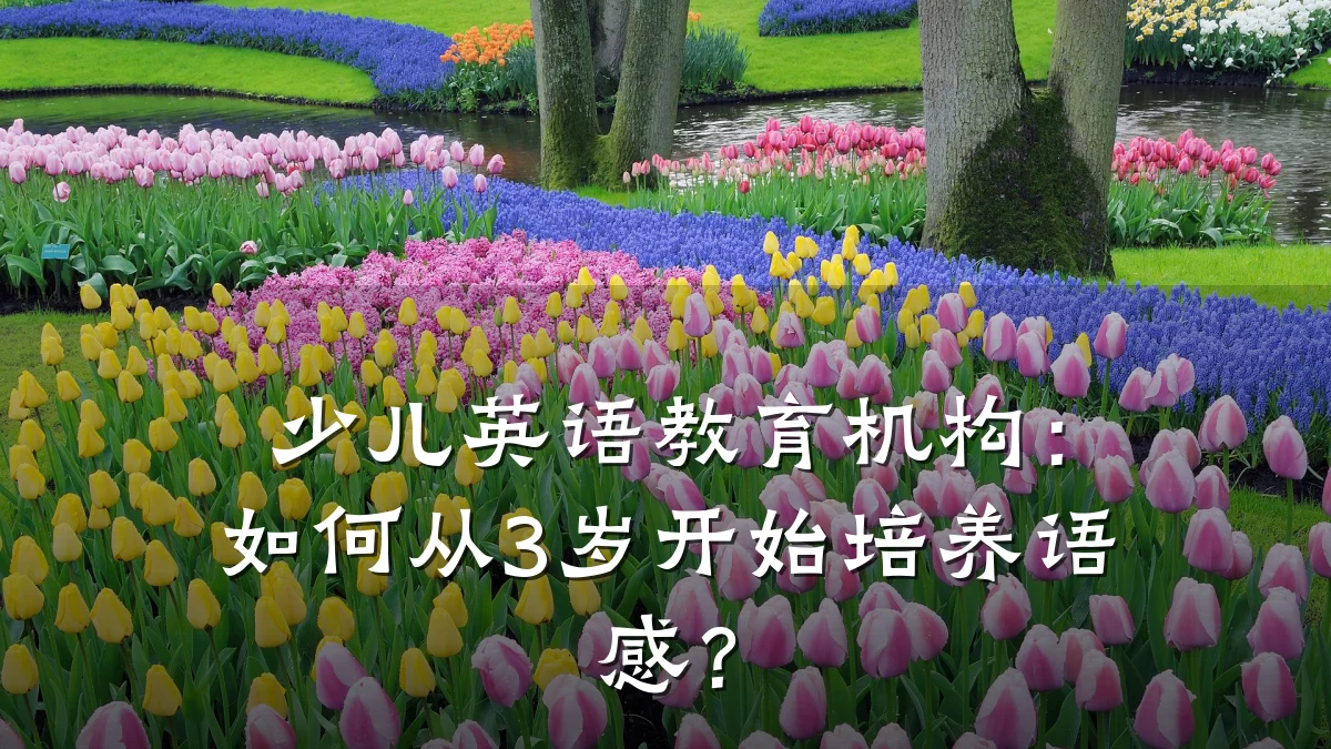 少儿英语教育机构:如何从3岁开始培养语感?